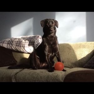 Meet your Posher, Joanne